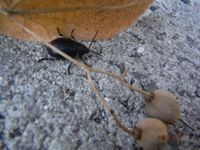 Болгария - Бургас