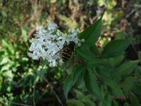 Болгария - Бургас