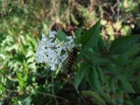 Болгария - Бургас