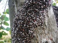 Болгария - Бургас