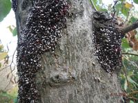 Болгария - Бургас