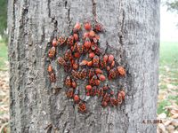 Болгария - Бургас