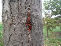 Болгария - Бургас