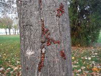 Болгария - Бургас