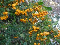 Болгария - Бургас