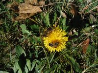 Болгария - Бургас