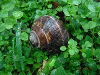 Болгария - Бургас