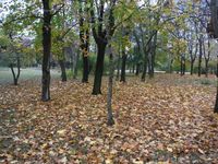 Болгария - Бургас