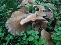 Болгария - Бургас