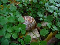 Болгария - Бургас