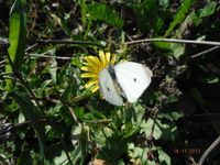 Болгария - Бургас