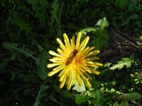 Болгария - Бургас