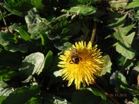 Болгария - Бургас