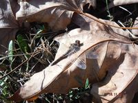 Болгария - Бургас