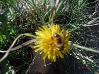 Болгария - Бургас