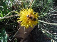 Болгария - Бургас