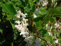 Болгария - Бургас