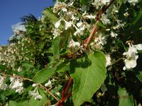 Болгария - Бургас