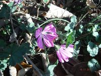 Болгария - Бургас