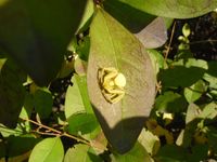 Болгария - Бургас