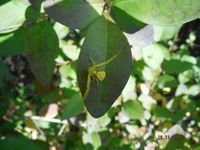 Болгария - Бургас