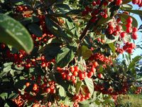 Болгария - Бургас