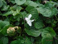 Болгария - Бургас