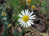 Болгария - Бургас