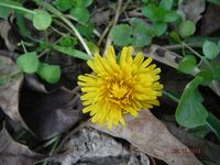 Болгария - Бургас