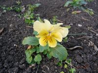 Болгария - Бургас