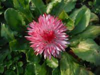 Болгария - Бургас