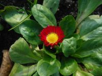 Болгария - Бургас