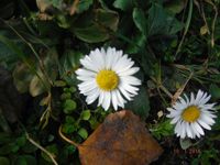 Болгария - Бургас