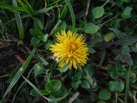 Болгария - Бургас