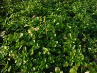 Болгария - Бургас