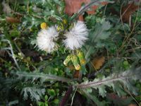 Болгария - Бургас