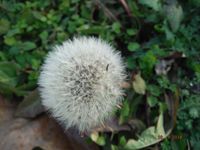 Болгария - Бургас