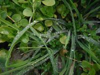 Болгария - Бургас