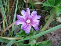 Болгария - Бургас