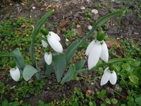 Болгария - Бургас