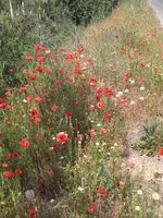 Болгария - Бургас