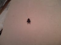 Болгария - Бургас