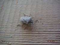 Болгария - Бургас