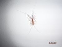 Болгария - Бургас