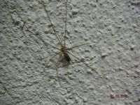 Болгария - Бургас