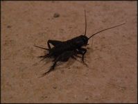 Болгария - Бургас