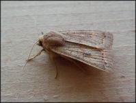 Болгария - Бургас