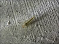 Болгария - Бургас