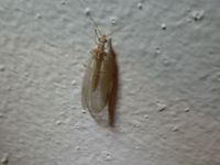 Болгария - Бургас