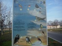 Болгария - Бургас